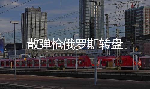 散弹枪俄罗斯转盘下载