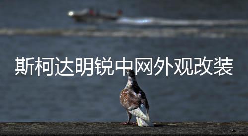斯柯达明锐中网外观改装配件昊锐汽车前脸保险杠专用装饰条晶锐下载