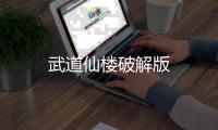 武道仙楼破解版
