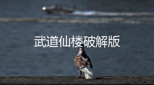 武道仙楼破解版下载
