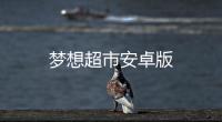 梦想超市安卓版