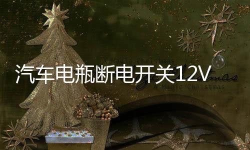 汽车电瓶断电开关12V防亏电漏电保护器智能蓝牙遥控纯铜实时监控下载