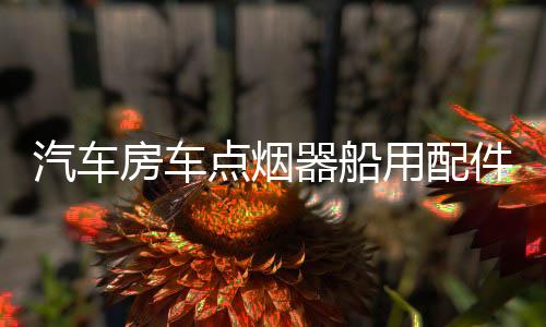汽车房车点烟器船用配件面板电源插座双USB车充电压表带开关12V下载