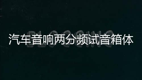 汽车音响两分频试音箱体试音柜 6.5寸书架箱无源空箱木箱展示通用下载
