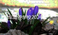 汽车驾驶学校2024破解版