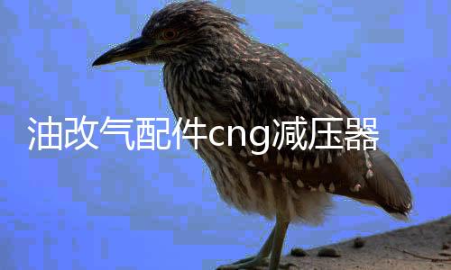 油改气配件cng减压器单点减压阀洛瓦托减压器汽车天然气配件改装下载