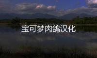 宝可梦肉鸽汉化