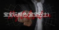 宝宝玩颜色(宝宝巴士)