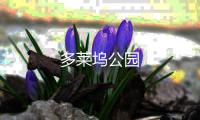 多莱坞公园
