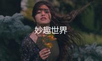 妙趣世界