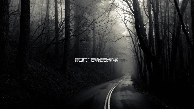 德国汽车音响低音炮D类数字单路功放机2000W双音圈大功率功放板下载