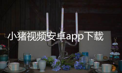 小猪视频安卓app下载 1.1.2下载