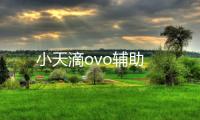 小天滴ovo辅助