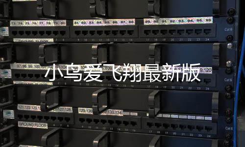 小鸟爱飞翔最新版下载