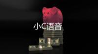 小C语音
