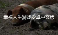 幸福人生游戏安卓中文版