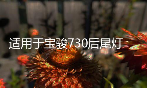 适用于宝骏730后尾灯总成14-21款转向刹车灯后组合灯倒车灯罩改装下载