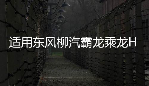 适用东风柳汽霸龙乘龙H7H5M3大灯总成全led前大灯重卡配件日行灯下载