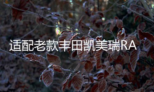 适配老款丰田凯美瑞RAV4皇冠锐志汉兰达原装电瓶瓦尔塔汽车蓄电池下载