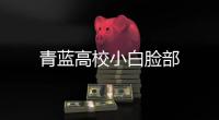 青蓝高校小白脸部