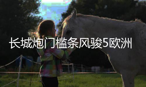 长城炮门槛条风骏5欧洲版改装配件6迎宾踏板7车内饰装饰汽车用品下载