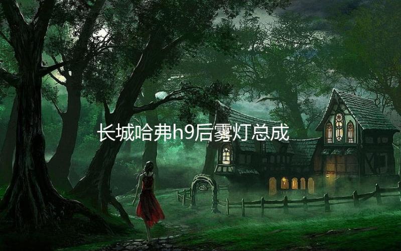 长城哈弗h9后雾灯总成 哈佛H9 后保险杠灯 后左右尾灯汽车配件下载