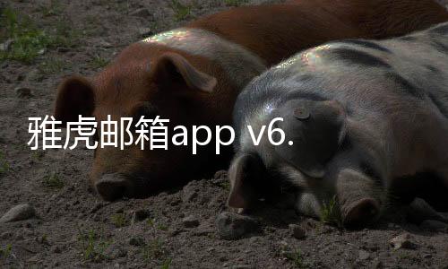 雅虎邮箱app v6.49.1安卓版下载