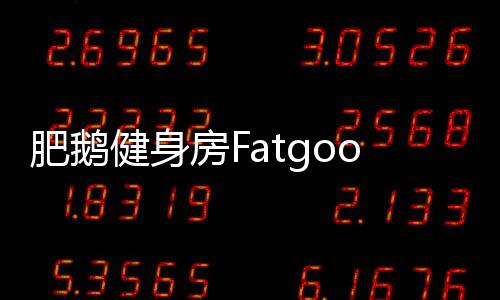 肥鹅健身房Fatgoose Go: Merge and Story官方版下载