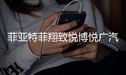 菲亚特菲翔致悦博悦广汽传祺GA3SGS4GA5原装蓄电池瓦尔塔汽车电瓶下载