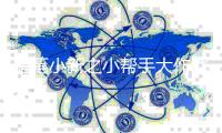 蜡笔小新之小帮手大作战正版