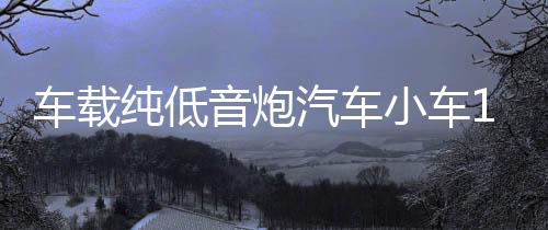 车载纯低音炮汽车小车12V大货车24V超重低音有源蓝牙功放音响改装下载