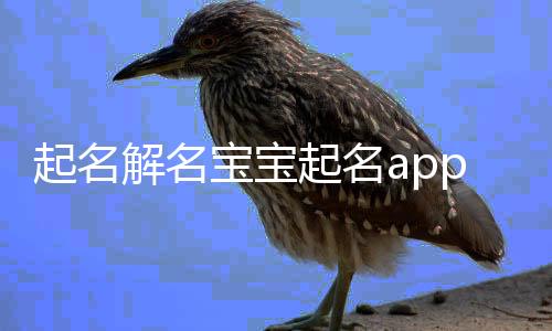 起名解名宝宝起名app下载