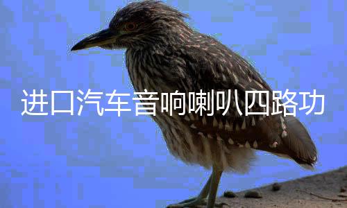 进口汽车音响喇叭四路功放4声道12V车载dsp大功率低音功放机100x4下载