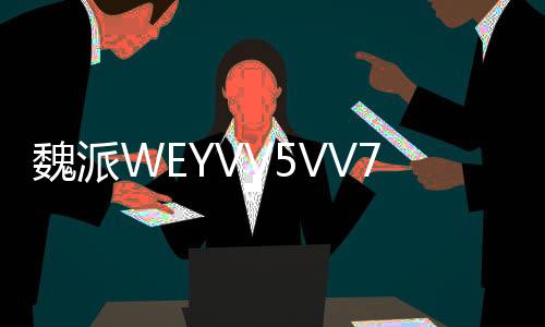 魏派WEYVV5VV7VV6仪表盘中控台避光垫改装配件汽车内装饰防晒用品下载