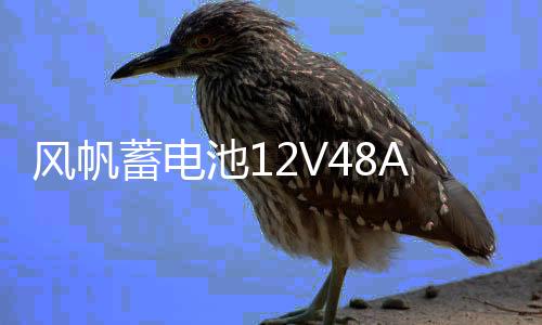 风帆蓄电池12V48AH/6-QW-48/五菱之光荣光扬光鸿途切诺基原装电瓶下载