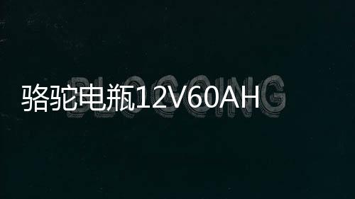 骆驼电瓶12V60AH适配科鲁兹捷达爱丽舍明锐宝来汽车蓄电池L2-400下载