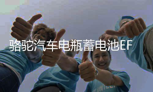 骆驼汽车电瓶蓄电池EFB启停S95适配汉兰达威驰致享骐达雷克萨斯下载