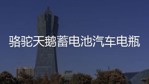 骆驼天鹅蓄电池汽车电瓶12V60AH55D23L卡罗拉花冠帝豪比亚迪F3下载