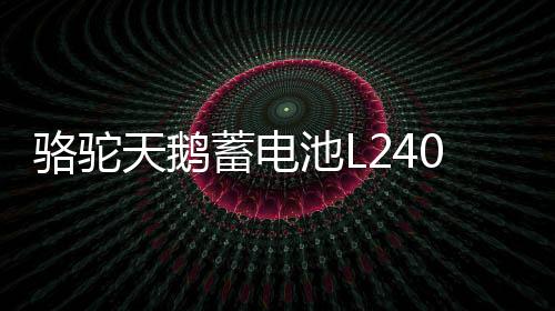 骆驼天鹅蓄电池L2400适配高尔夫迈腾明锐捷达力帆12V60AH汽车电瓶下载