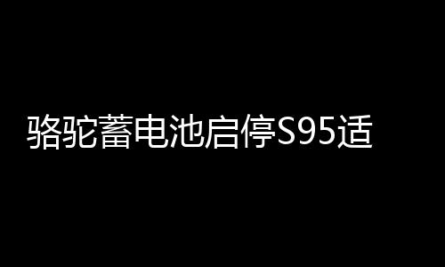 骆驼蓄电池启停S95适配汉兰达奥德赛凯美瑞威驰致炫汽车电瓶下载