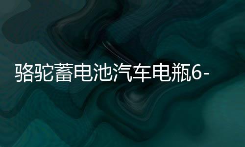 骆驼蓄电池汽车电瓶6-QW-110适配奔驰S奥迪Q7宝马5宝马7专用110AH下载