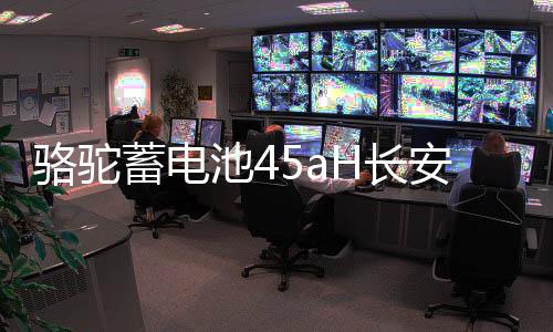 骆驼蓄电池45aH长安之星2东风小康K07S金杯小海狮X30适配汽车电瓶下载