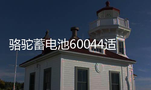 骆驼蓄电池60044适用路虎揽胜宝马7系奔驰S级12V100AH汽车电瓶下载