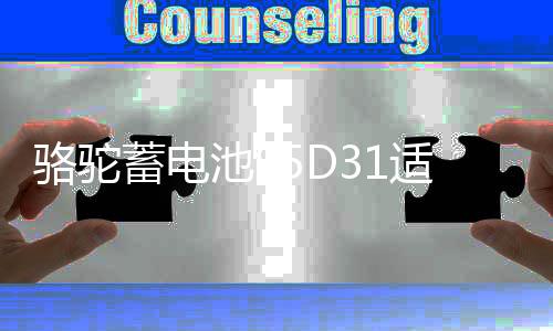 骆驼蓄电池95D31适用于瑞风普拉多帕杰罗85AH汽车电瓶 以旧换新下载