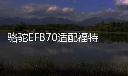 骆驼EFB70适配福特锐际/嘉年华/福睿斯科雷嘉/探界者原装启停电瓶下载