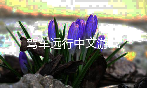 驾车远行中文游戏下载