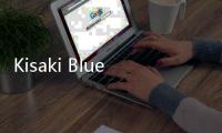 Kisaki Blue Archive Copypasta