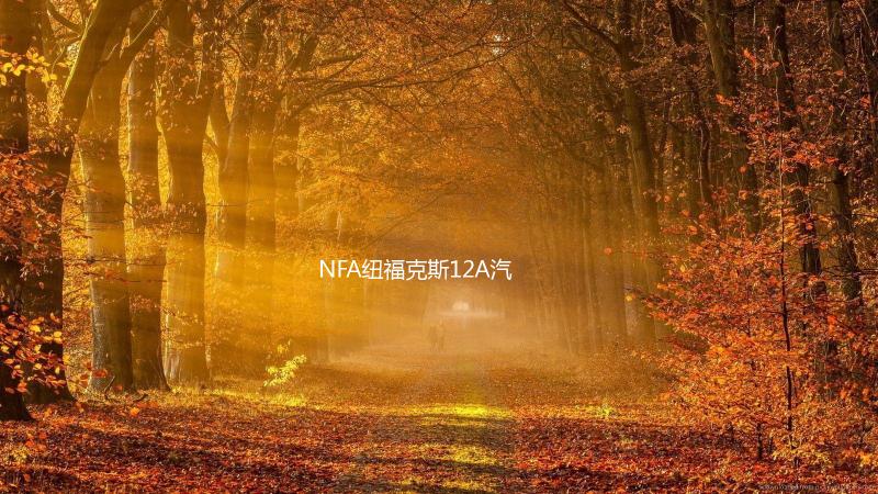 NFA纽福克斯12A汽车电瓶充电器12V数显车载蓄电池充电器电瓶修复下载