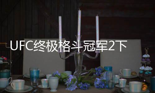 UFC终极格斗冠军2下载下载