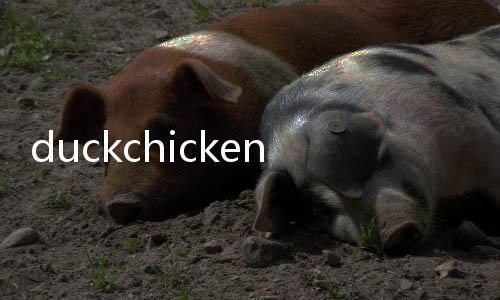 duckchicken鸡与鸭闲置防御破解版下载